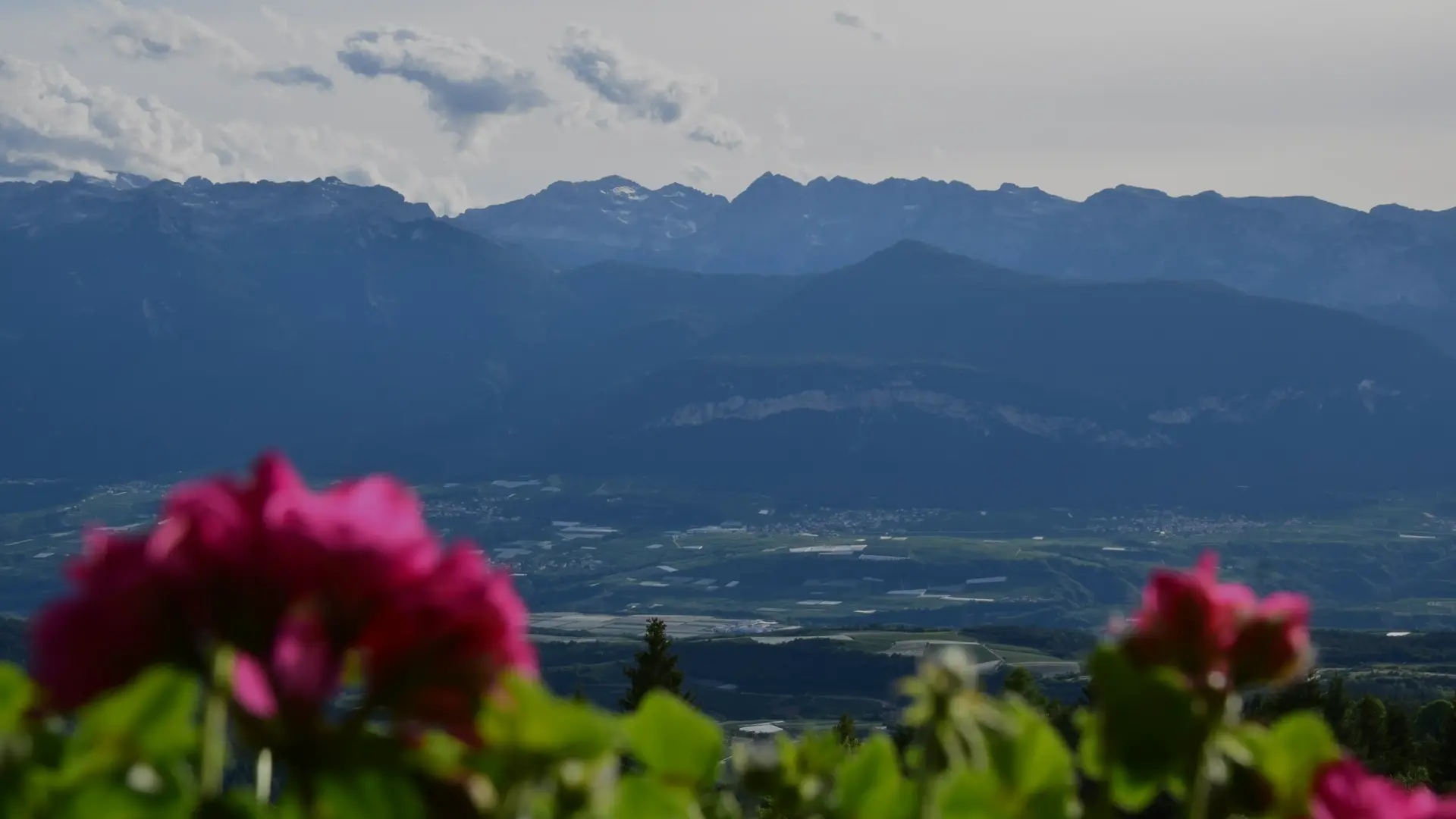Rifugio Predaia Ai Todes'ci